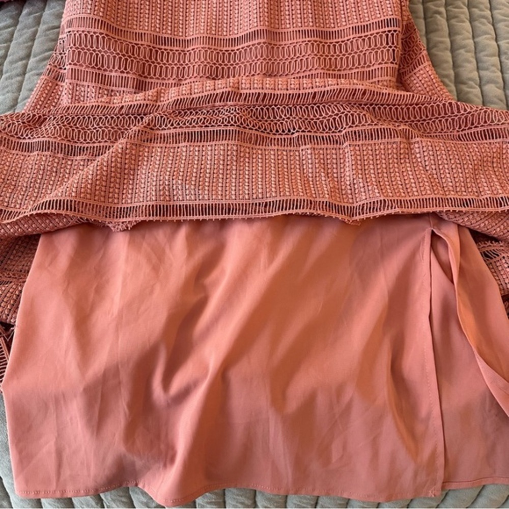 Antonio Melani BEAUTIFUL pale pink drop waist lace dress. Lines. Size 2. - Picture 8 of 9